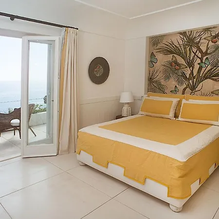 Coccodrilla By Myvillacollection *